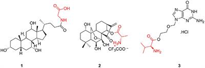 Application of Amino Acids in the Structural Modification of Natural Products: A Review